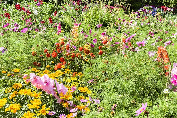 From Gardener to Guardian