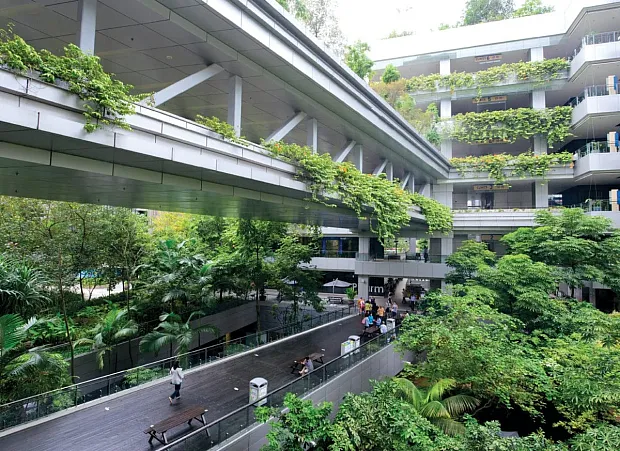 Wild Hope: A City in Nature