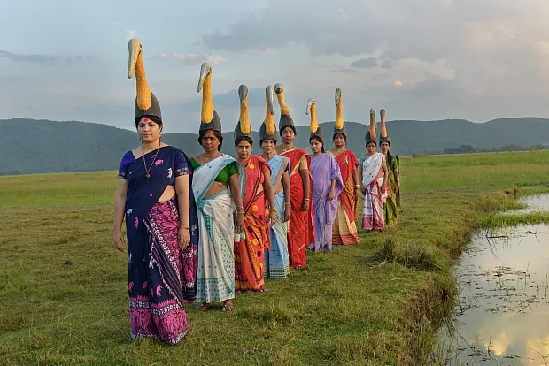 Stork Sisters - The Hargila Army