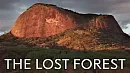The Lost Forest